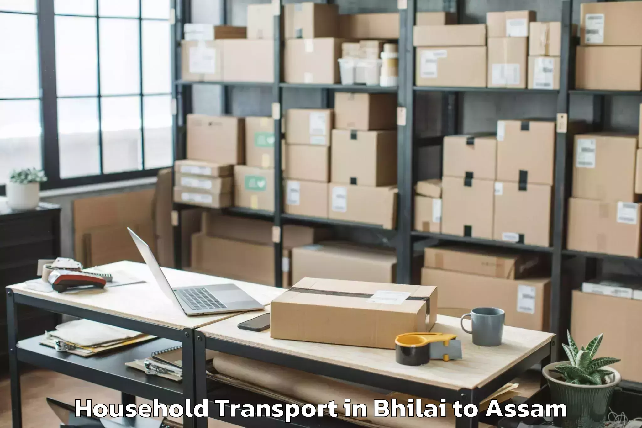 Affordable Bhilai to Goroimari Household Transport